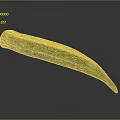 Fresh Green Okra Vegetable With Long Curved Shape And Smooth Surface 3d model