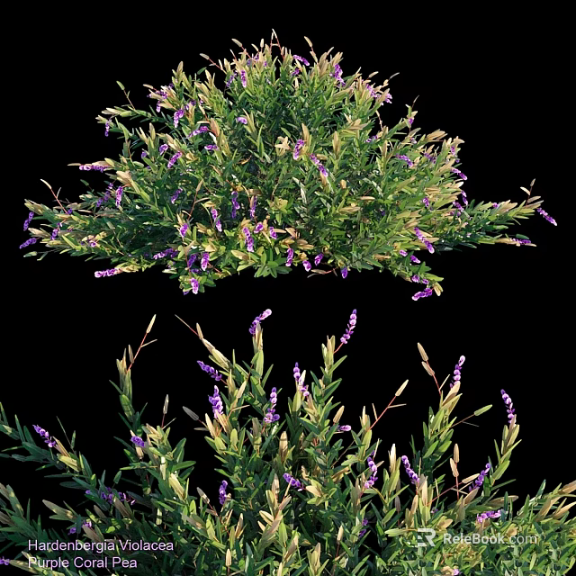 Decorative Ornament Set With Purple Small Flowers And Green Leaves Arrangement 3d model 