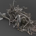 Pile of Dry Plant Roots and Branches With Wooden Stumps in Natural Setting