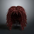 Red Curly Hair Wig As Daily Life Product For Fashion And Beauty