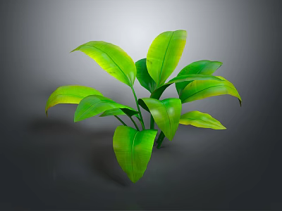 Vibrant Lush Green Plant With Large Fresh Leaves Against Gray Background 3d model