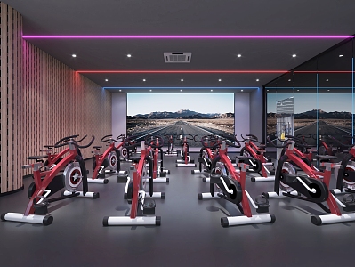 Modern Gym Spinning Gym Spinning 3d model