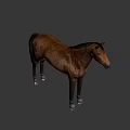 Detailed Brown Horse Standing Against Light Blue Background In 3D Rendering