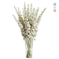 Elegant White Flower Arrangement in Clear Glass Vase for Home Decor