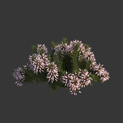 Modern Wandering Eshinan Cornwall Eshinan 3d model Modern Wandering Eshinan Cornwall Eshinan 3d model