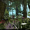 Tropical Forest Scenery with Lush Vegetation Tall Trees Sunlight Through Leaves and a Person Exploring