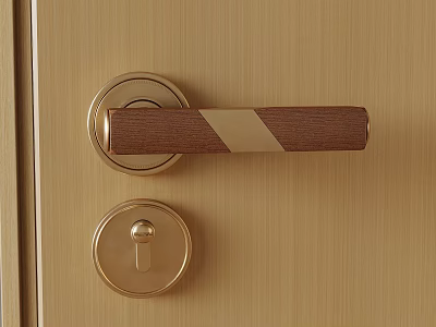 Golden Door Handle And Round Lock On Modern Wooden Door Surface 3d model