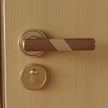 Golden Door Handle And Round Lock On Modern Wooden Door Surface