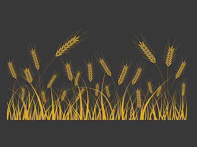 Golden Wheat Crop With Tall Stalks And Ripe Ears In Field 3d model