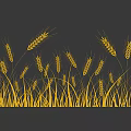 Golden Wheat Crop With Tall Stalks And Ripe Ears In Field