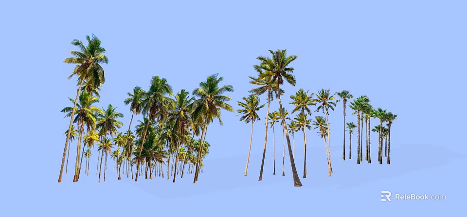 Tall Palm Trees With Lush Green Leaves Against Clear Blue Sky 3d model 