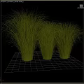 Green Grass Like Plants Decorative Ornaments Set Arranged On Black Background