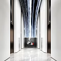 Modern Elevator Lobby Interior With Art Installation Lighting And Marble Flooring 3d model