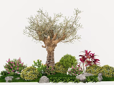 Plant Combination Showcasing Olive Tree Pink Flowers Green Shrubs Red Plants Stones And Grass 3d model