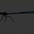 Dragonfly With Blue Black Body Orange Eyes And Black White Wings On Gray Background