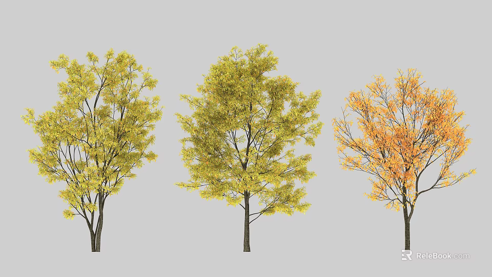 Three Deciduous Arbor Trees With Yellow Golden And Orange Autumn Foliage 3d model 