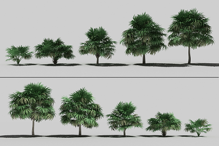 The Modern Tree 3d model