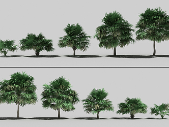 The Modern Tree 3d model