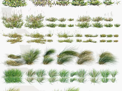 Different Types Of Ornamental Grass And Plants For Creative Garden Landscaping Design 3d model