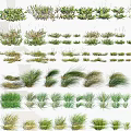 Different Types Of Ornamental Grass And Plants For Creative Garden Landscaping Design