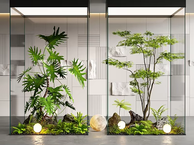 Indoor Landscape With Glass Enclosures Green Plants Stones Moss Floor Lights Light-Colored Geometric Walls 3d model