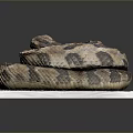 Brown and Tan Patterned Coiled Snake Resting on White Platform Surface 3d model