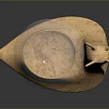 Artistic Golden Snail Sculpture With Transparent Sphere Reflecting Building And Sky