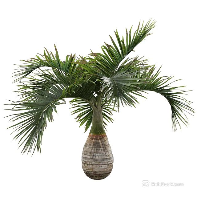 Large Leafy Palm Tree With Green Foliage In Textured Pot For Home Decoration 3d model 