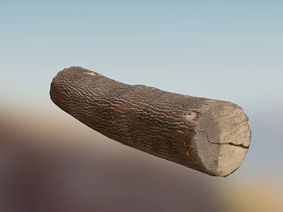 Rustic Stone Wood Log Featuring Natural Bark Texture and Cracked Cross Section 3d model