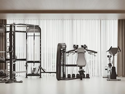 Premium Modern Fitness Gym Featuring Various Training Equipment And Large Windows 3d model