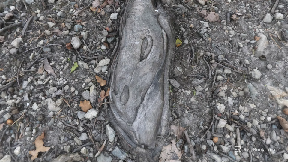 Microtopography Featuring Weathered Wooden Log Surrounded by Small Stones Fallen Leaves and Dirt Ground 3d model 