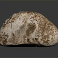 Brown White Textured Natural Stone and Wood Like Surface with Black Background Reflection
