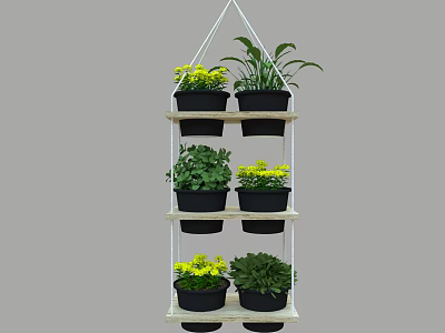 Bonsai Potted Plants Arranged On Multi tiered Wooden Shelf With Various Green Plants And Yellow Flowers For Indoor Decor 3d model