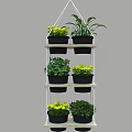 Bonsai Potted Plants Arranged On Multi tiered Wooden Shelf With Various Green Plants And Yellow Flowers For Indoor Decor