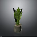 Green Leaf Plant With Striped Pattern In Gray Textured Ceramic Pot
