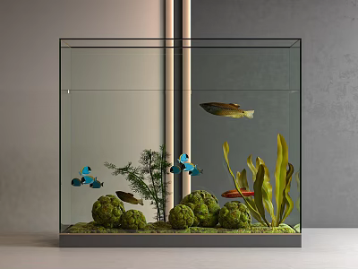 Glass Aquarium Interior Setup With Colorful Fish Aquatic Plants And Green Decorations 3d model