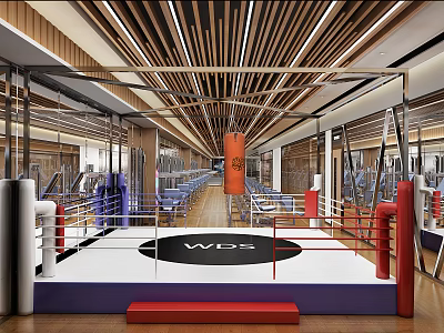 Modern Gym Challenge Arena 3d model