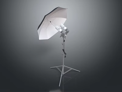 Professional Commercial Photography Lighting Equipment With Umbrella Reflector And Tripod Stand For Studio Use 3d model
