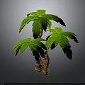 Three Palm Trees With Twisted Trunks And Green Leaves 3D Rendered Decorative Plant