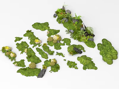 Microlandscape Decorative Design With Green Grass Stones Small Plants And Natural Elements 3d model