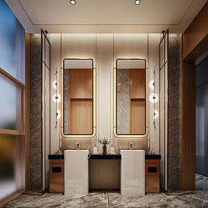 Toilet Washing area Public toilet Hotel toilet 3d model