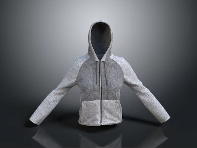 Casual Gray Hoodie With Zipper Front Contrast Sleeves And Knit Fabric For Everyday Wear 3d model