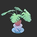 Stylish Green Plant Wall Design With Monstera Leaves In Pink Pot On Transparent Stand