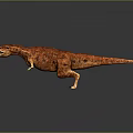 Orange Tyrannosaurus Rex Standing On Gray Background With Reflective Surface