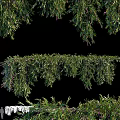 Green Decorative Vines With Lush Hanging Branches And Fresh Foliage