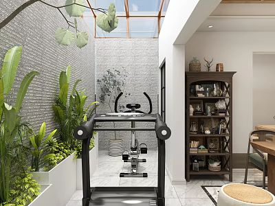 Cozy Indoor Gym Space With Treadmill Green Plants Bookshelf And Skylight 3d model
