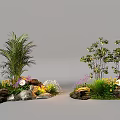Diverse Outdoor Plant Combination With Palm Shrub Flowers And Rocks For Garden Landscaping