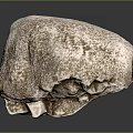 Wood Stone Carving Artwork With Intricate Natural Patterns And Detailed Textured Surface