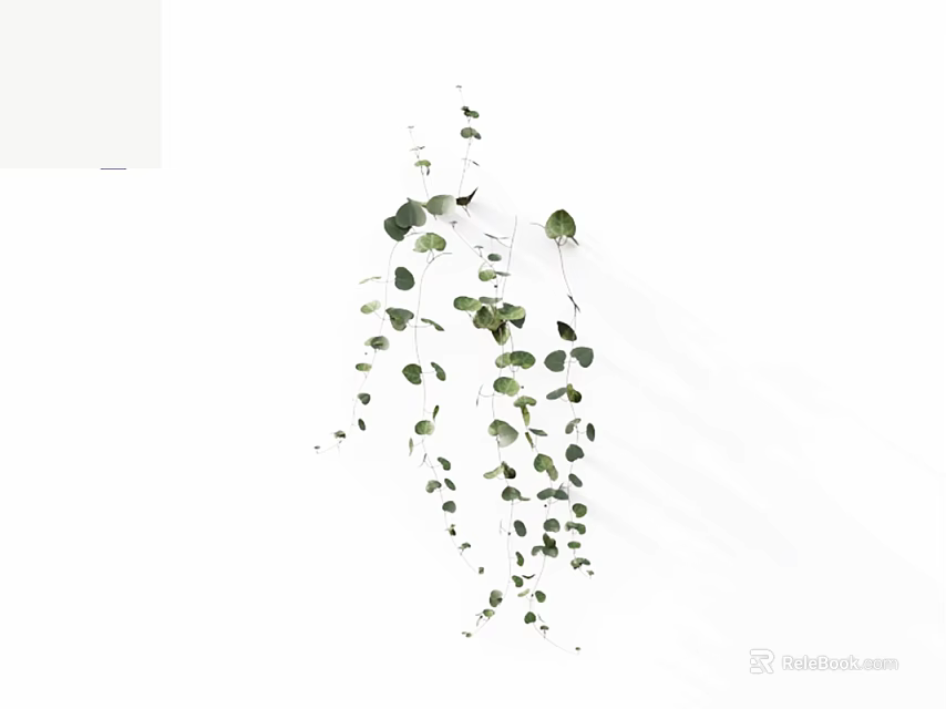 Hanging Green Vines With Trailing Stems And Decorative Leaves For Indoor Decor 3d model 