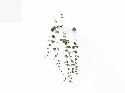Hanging Green Vines With Trailing Stems And Decorative Leaves For Indoor Decor 3d model